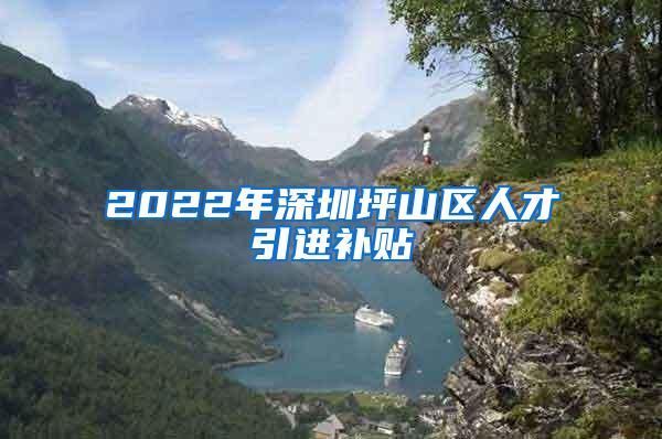 2022年深圳坪山区人才引进补贴