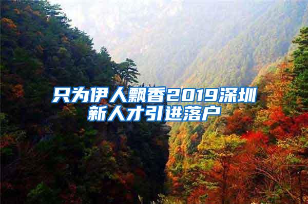 只为伊人飘香2019深圳新人才引进落户