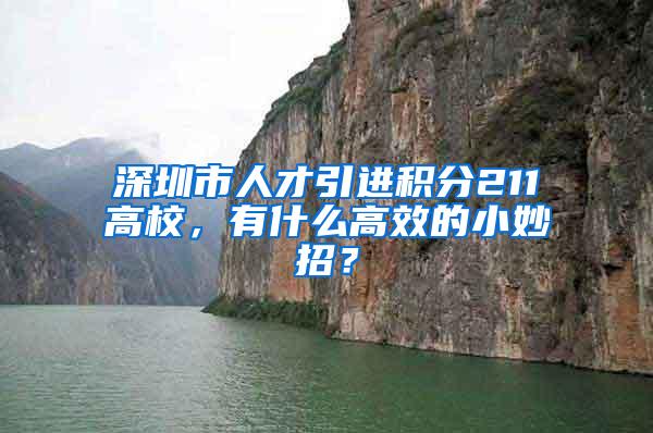 深圳市人才引进积分211高校，有什么高效的小妙招？