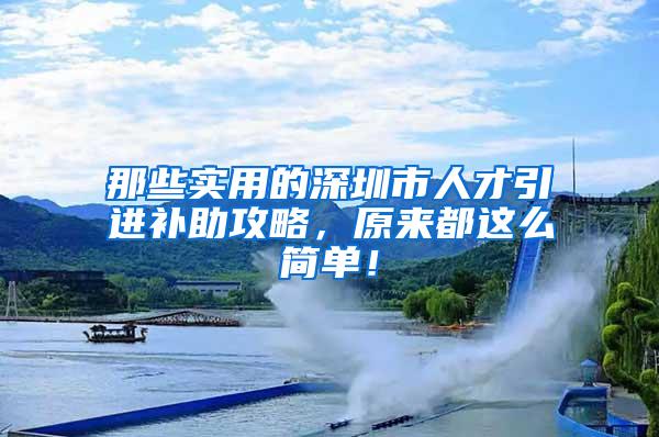 那些实用的深圳市人才引进补助攻略，原来都这么简单！