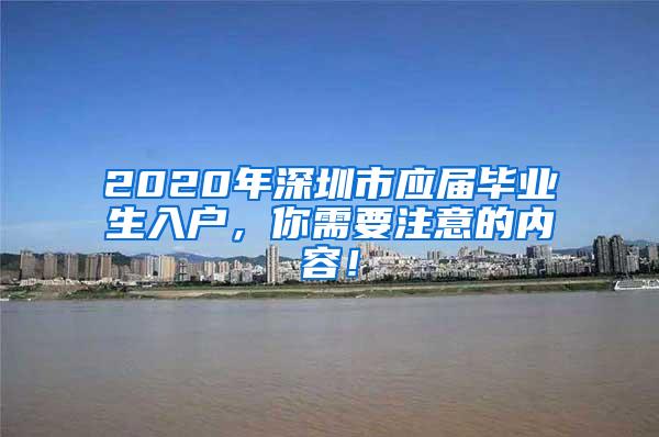 2020年深圳市应届毕业生入户，你需要注意的内容！