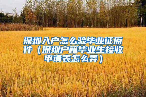 深圳入户怎么验毕业证原件（深圳户籍毕业生接收申请表怎么弄）