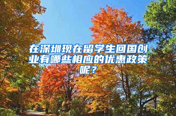 在深圳现在留学生回国创业有哪些相应的优惠政策呢？