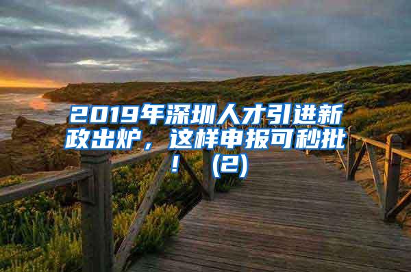 2019年深圳人才引进新政出炉，这样申报可秒批！ (2)