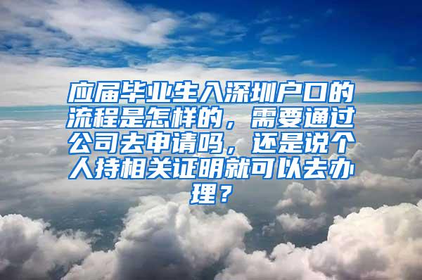 应届毕业生入深圳户口的流程是怎样的，需要通过公司去申请吗，还是说个人持相关证明就可以去办理？