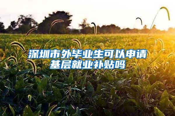 深圳市外毕业生可以申请基层就业补贴吗