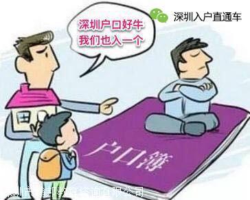 2020深圳怎么查积分入户不是你不够努力