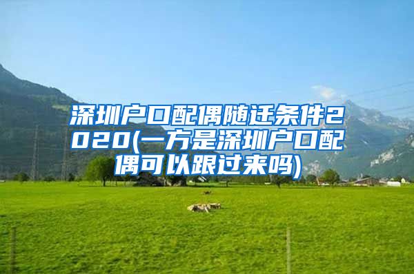 深圳户口配偶随迁条件2020(一方是深圳户口配偶可以跟过来吗)