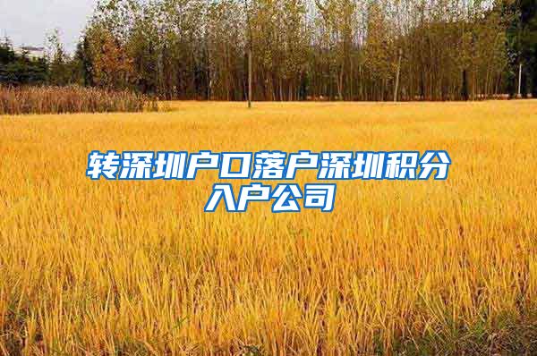 转深圳户口落户深圳积分入户公司