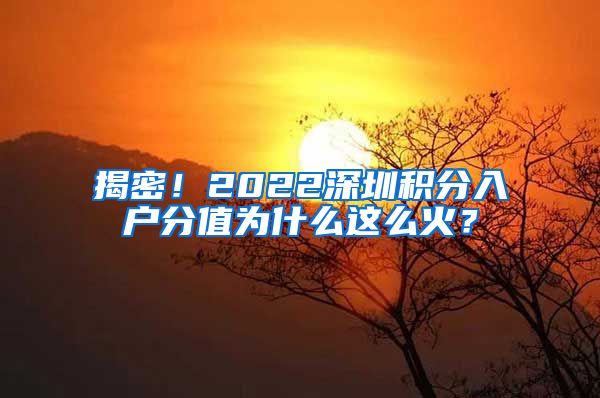 揭密！2022深圳积分入户分值为什么这么火？