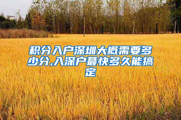 积分入户深圳大概需要多少分,入深户蕞快多久能搞定