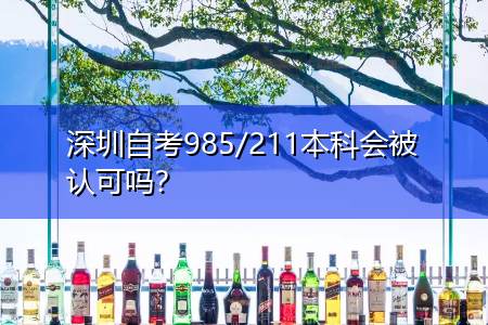 深圳自考985/211本科会被认可吗？