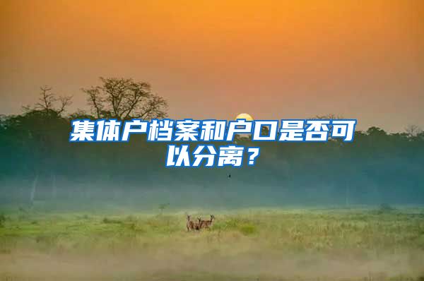 集体户档案和户口是否可以分离？