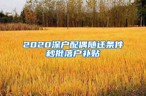 2020深户配偶随迁条件秒批落户补贴