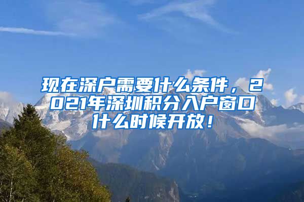 现在深户需要什么条件，2021年深圳积分入户窗口什么时候开放！