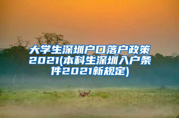 大学生深圳户口落户政策2021(本科生深圳入户条件2021新规定)