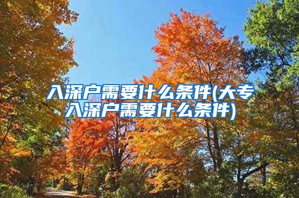 入深户需要什么条件(大专入深户需要什么条件)