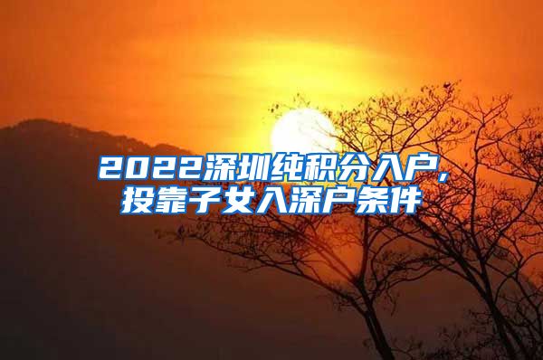 2022深圳纯积分入户,投靠子女入深户条件