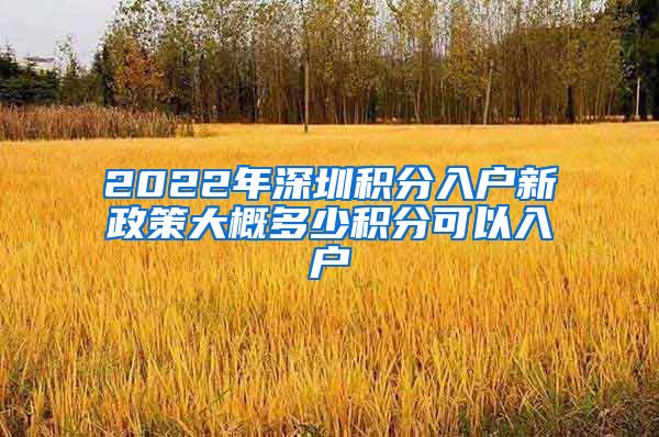 2022年深圳积分入户新政策大概多少积分可以入户