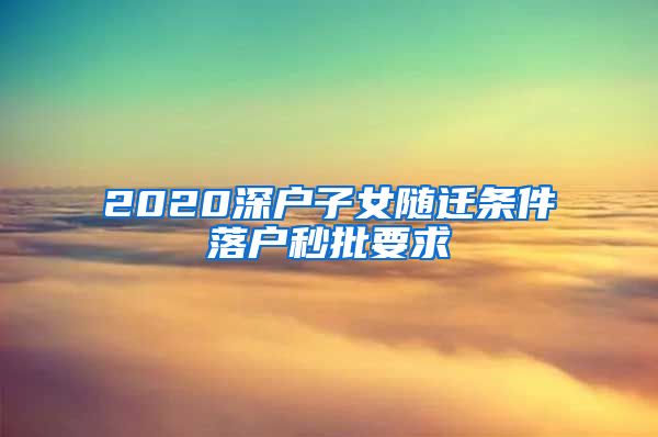 2020深户子女随迁条件落户秒批要求