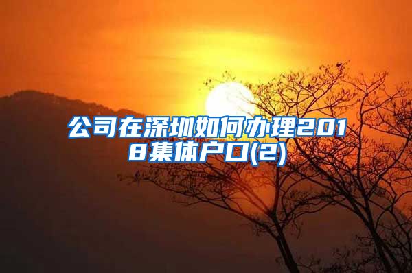 公司在深圳如何办理2018集体户口(2)