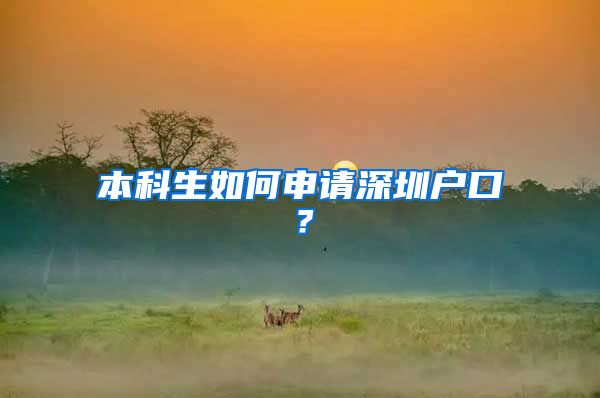 本科生如何申请深圳户口？