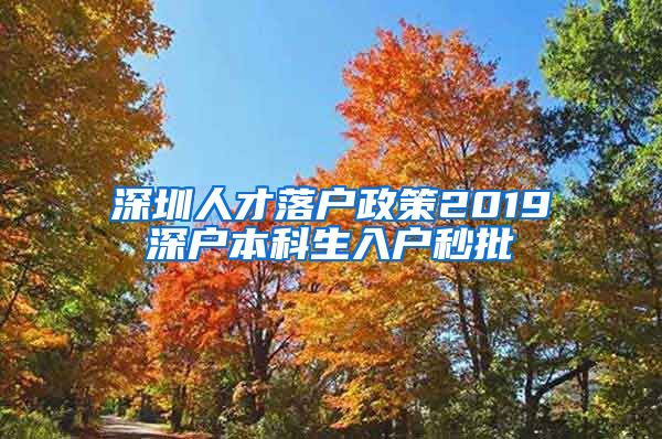 深圳人才落户政策2019深户本科生入户秒批