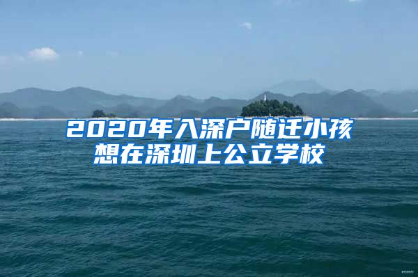 2020年入深户随迁小孩想在深圳上公立学校