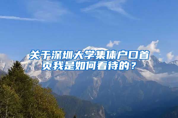 关于深圳大学集体户口首页我是如何看待的？