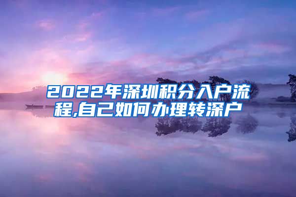 2022年深圳积分入户流程,自己如何办理转深户