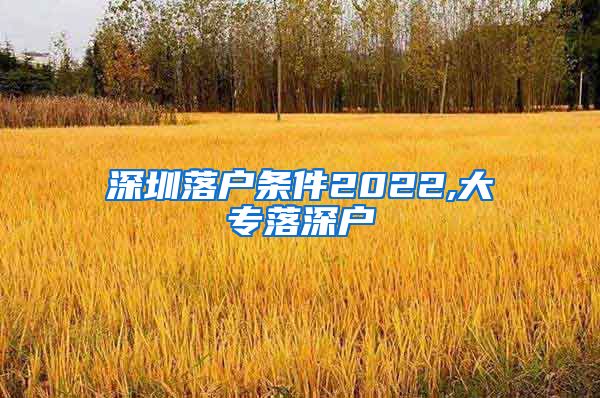 深圳落户条件2022,大专落深户