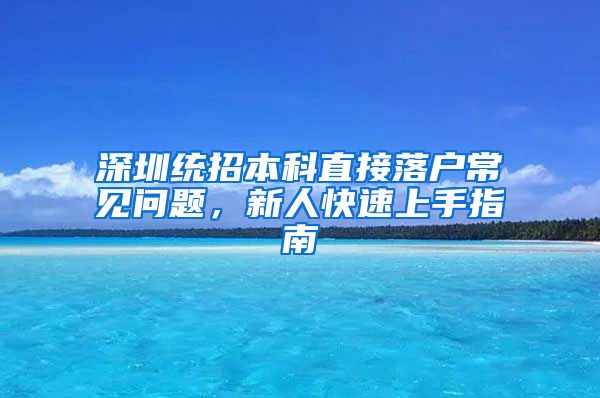 深圳统招本科直接落户常见问题，新人快速上手指南