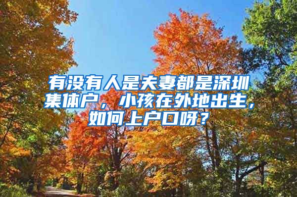 有没有人是夫妻都是深圳集体户，小孩在外地出生，如何上户口呀？