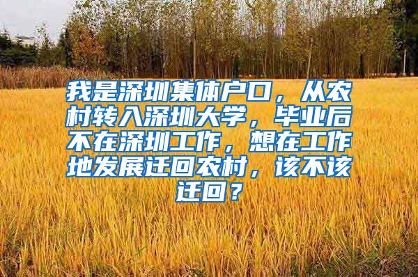 我是深圳集体户口，从农村转入深圳大学，毕业后不在深圳工作，想在工作地发展迁回农村，该不该迁回？