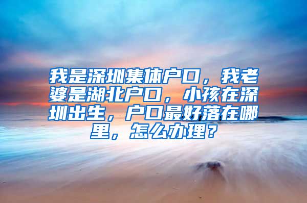 我是深圳集体户口，我老婆是湖北户口，小孩在深圳出生，户口最好落在哪里，怎么办理？