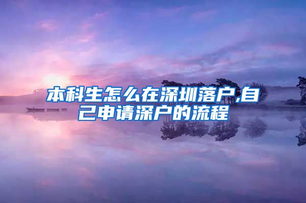 本科生怎么在深圳落户,自己申请深户的流程