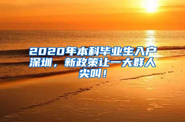 2020年本科毕业生入户深圳，新政策让一大群人尖叫！