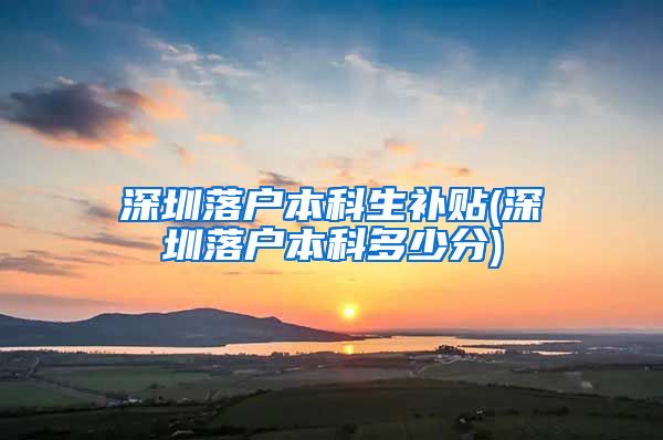 深圳落户本科生补贴(深圳落户本科多少分)