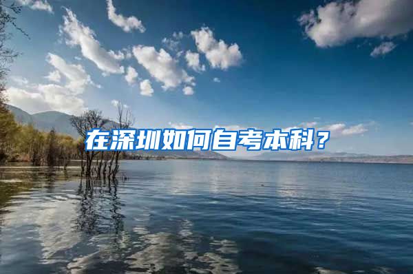 在深圳如何自考本科？