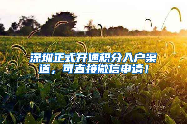 深圳正式开通积分入户渠道，可直接微信申请！