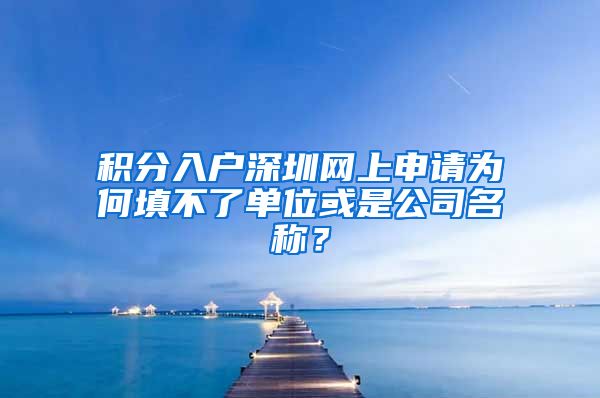 积分入户深圳网上申请为何填不了单位或是公司名称？