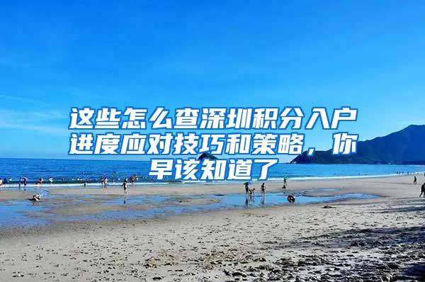 这些怎么查深圳积分入户进度应对技巧和策略，你早该知道了