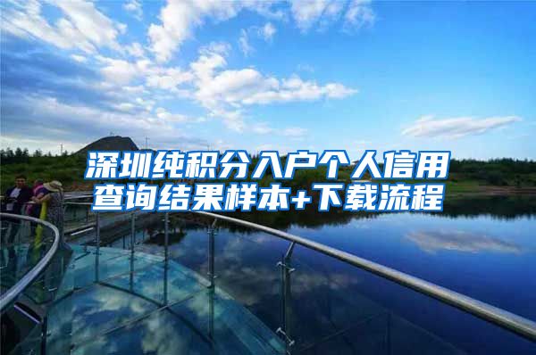 深圳纯积分入户个人信用查询结果样本+下载流程