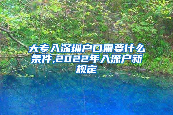 大专入深圳户口需要什么条件,2022年入深户新规定