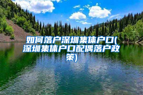 如何落户深圳集体户口(深圳集体户口配偶落户政策)