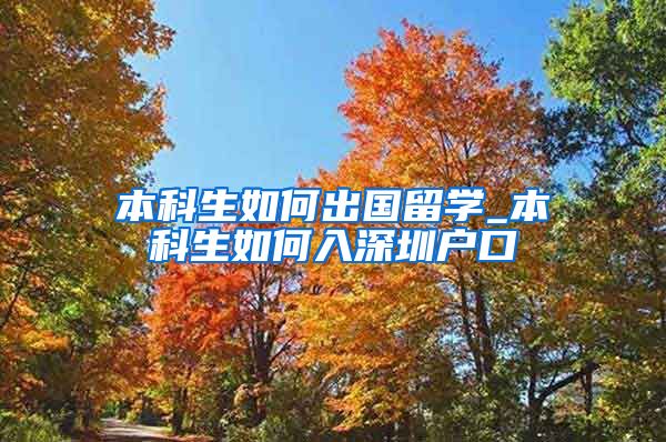 本科生如何出国留学_本科生如何入深圳户口