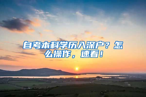 自考本科学历入深户？怎么操作，速看！