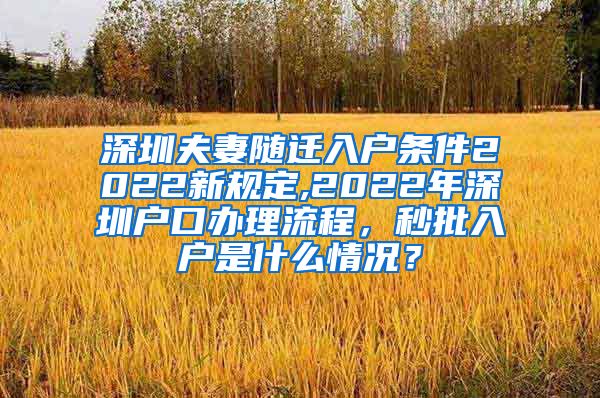 深圳夫妻随迁入户条件2022新规定,2022年深圳户口办理流程，秒批入户是什么情况？