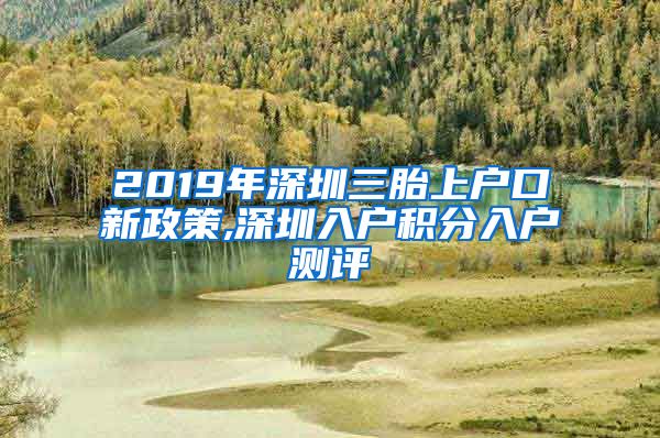 2019年深圳三胎上户口新政策,深圳入户积分入户测评