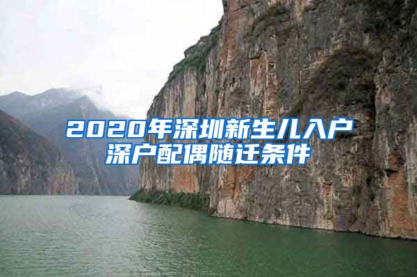 2020年深圳新生儿入户深户配偶随迁条件